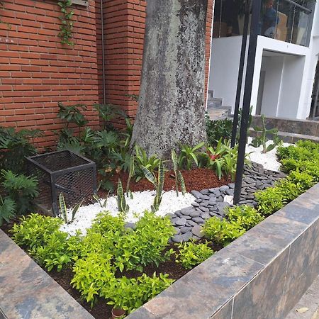 Hotel Suramericana Medellín Eksteriør bilde