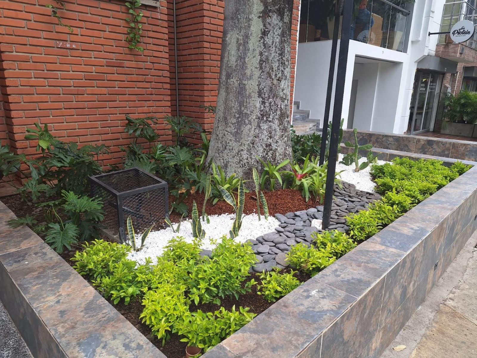 Hotel Suramericana Medellín Eksteriør bilde