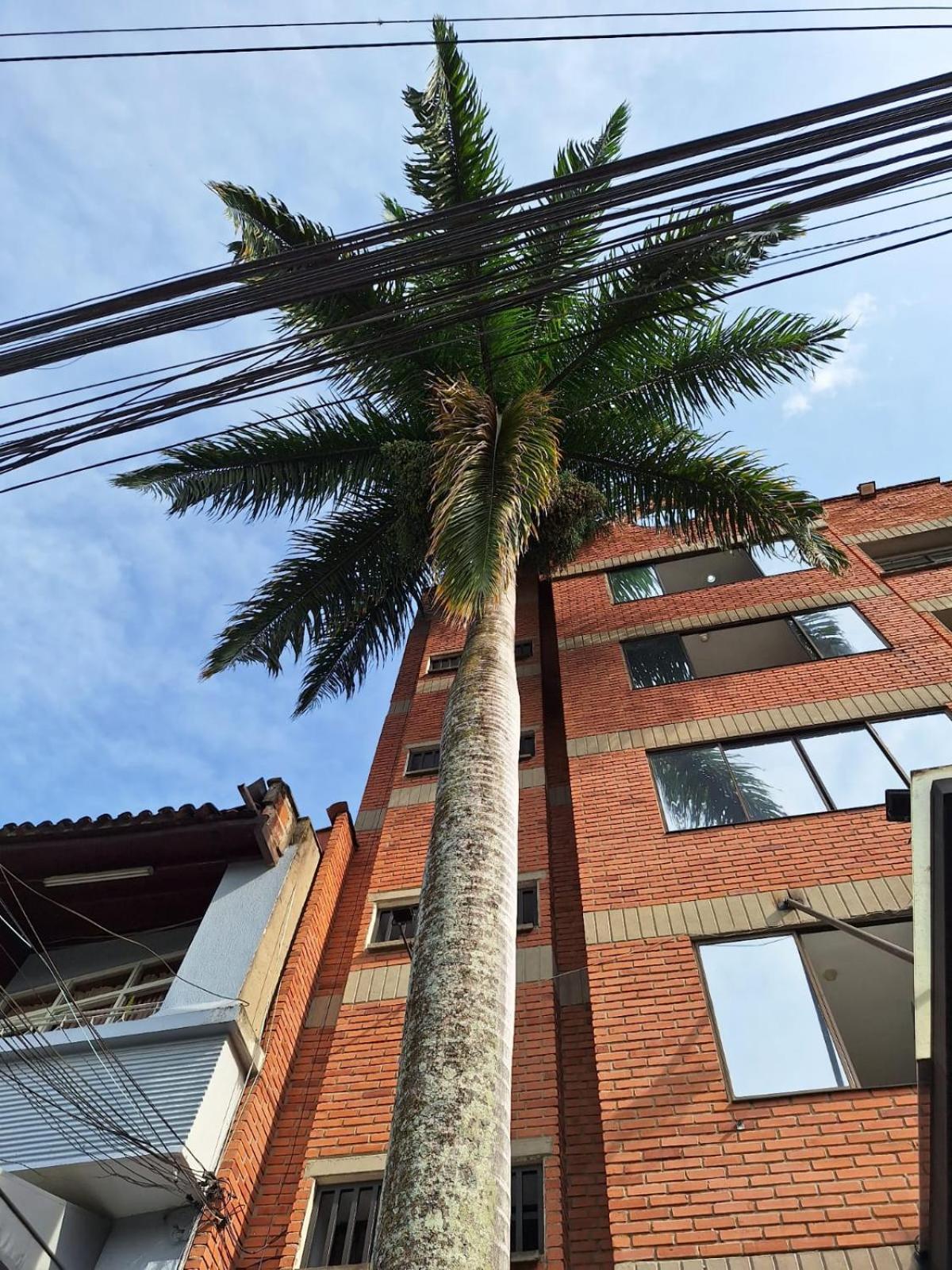 Hotel Suramericana Medellín Eksteriør bilde